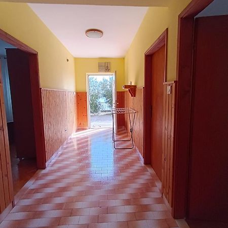 Apartmani Iva Tribanj-Kruscica Dış mekan fotoğraf