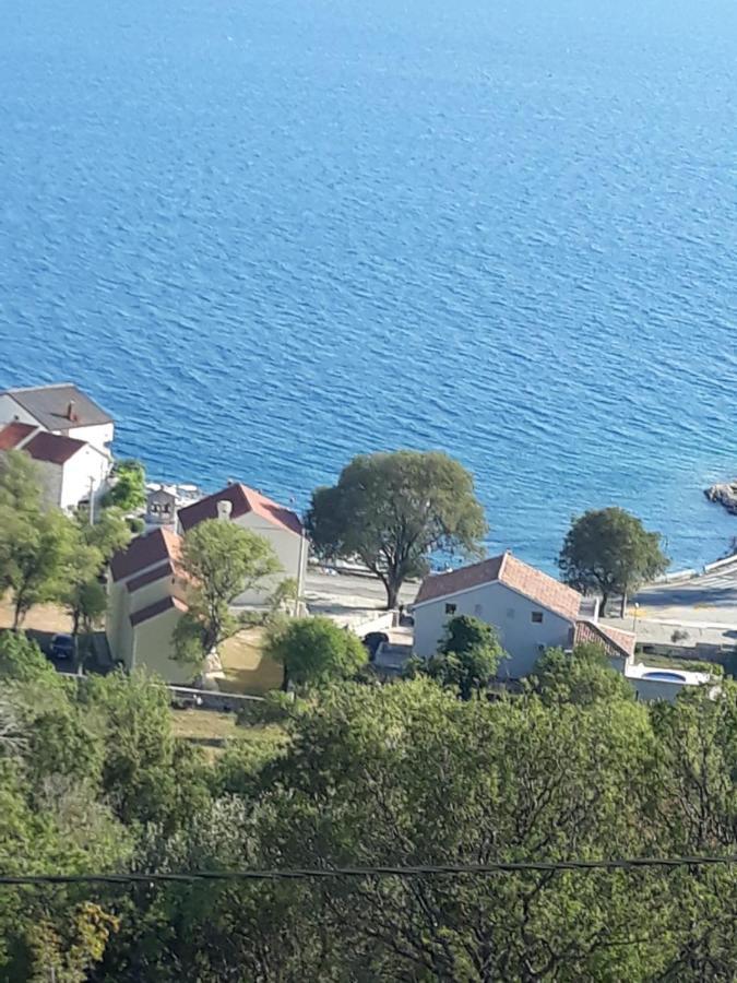 Apartmani Iva Tribanj-Kruscica Dış mekan fotoğraf